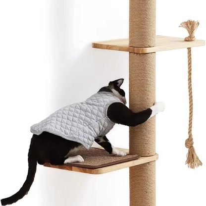Wood Cat Tree OEM | 50in Wall Hanging | Rubberwood Cat Scratching Beds Custom