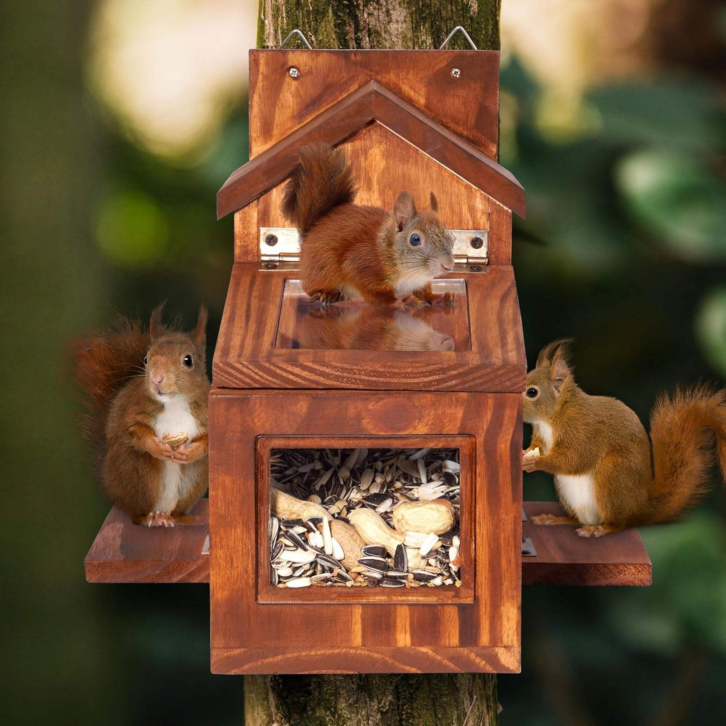 Wooden Squirrel Feeder OEM | Outdoor Corn & Peanut Box | Detachable Custom