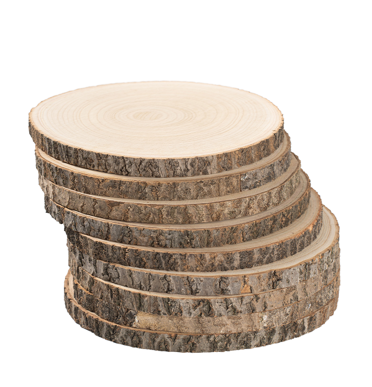 Wholesale Unfinished Round Wood Slices 15-18cm | Natural Bark Edge | Wedding & Seasonal Decor | OEM Custom Sizes Available