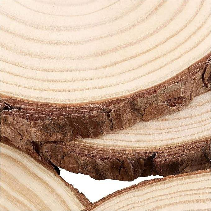 Wholesale Unfinished Round Wood Slices 15-18cm | Natural Bark Edge | Wedding & Seasonal Decor | OEM Custom Sizes Available