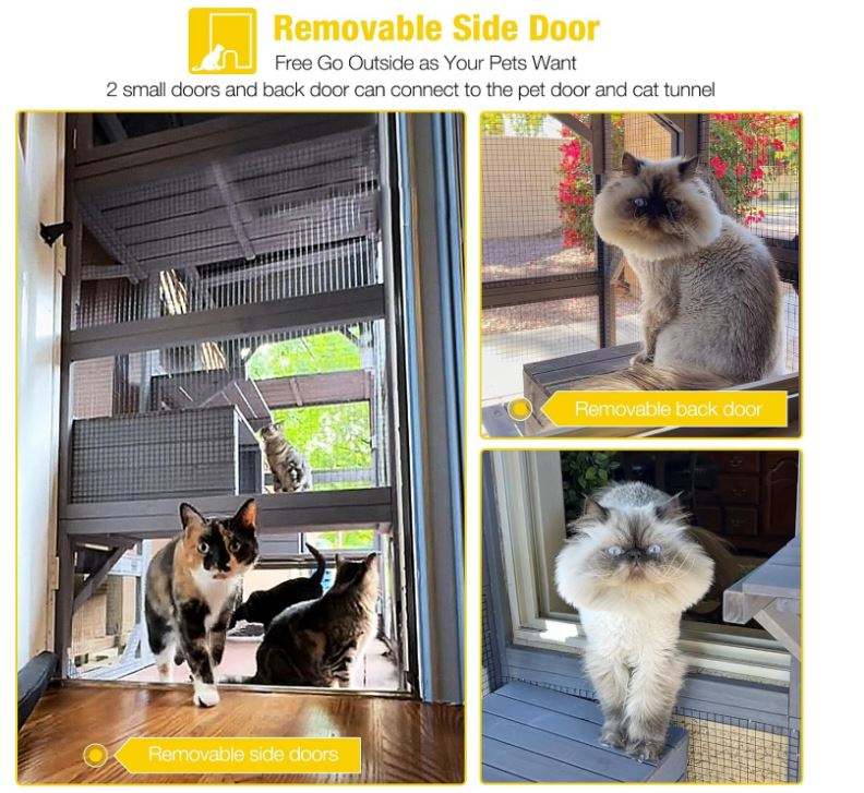 Outdoor catio walk-in door detail