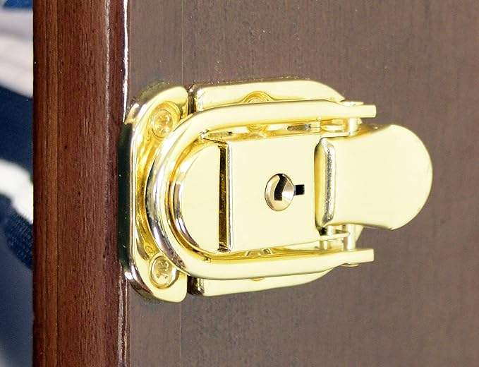 Display case locking mechanism