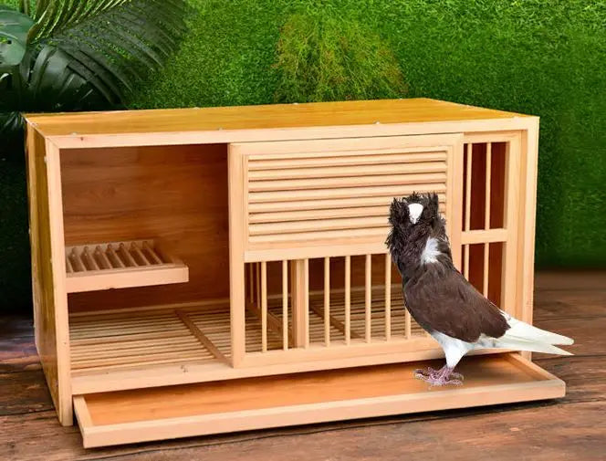 Wholesale Wooden Pigeon Cage | All-Seasons Commercial Bird House | Factory Direct