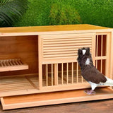 Wholesale Wooden Pigeon Cage | All-Seasons Commercial Bird House | Factory Direct