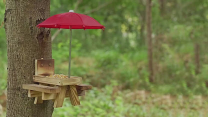 Wood Squirrel Feeder OEM | Carbonized Picnic Table with Umbrella | Corn Cob Custom