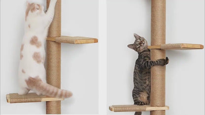 Wood Cat Tree OEM | 50in Wall Hanging | Rubberwood Cat Scratching Beds Custom