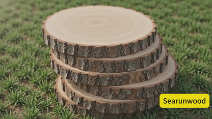 Wholesale Unfinished Round Wood Slices 15-18cm | Natural Bark Edge | Wedding & Seasonal Decor | OEM Custom Sizes Available