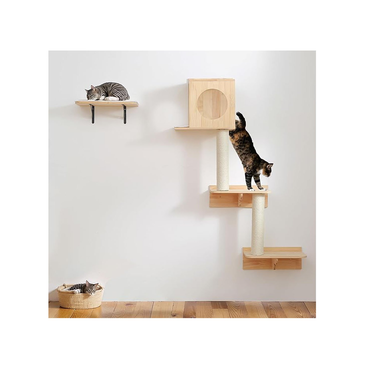 Wall Mounted Cat Tree Indoor Gym Floating House Condo Climbing Tower Furniture Shelves Stairs Activity Obstacle Course for Cats