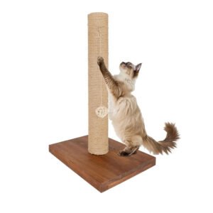 Solid Wood 22-Inch Tall Cat Scratching Post for Indoor Cats 1-Pillar Kiity Post Scratcher with Natural Sisal Material