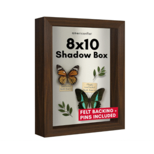 Shadow Box Frame with Shatter-Resistant Glass - Silhouette Collection - Large Shadow Box Display Case for Tabletop and Wall Display
