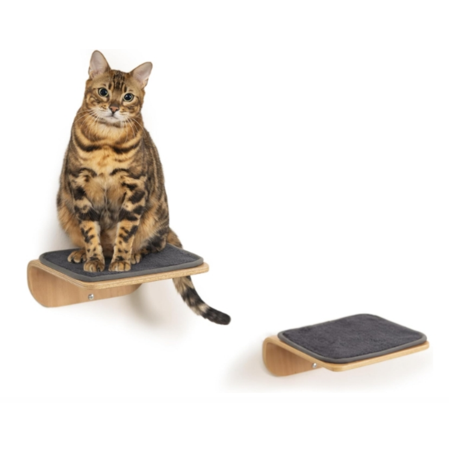 Cat Wall Shelves for Cat Wall Steps, Perch, Ladder, Wooden Floating Modern Mounted Space Saving Furniture with Scratching