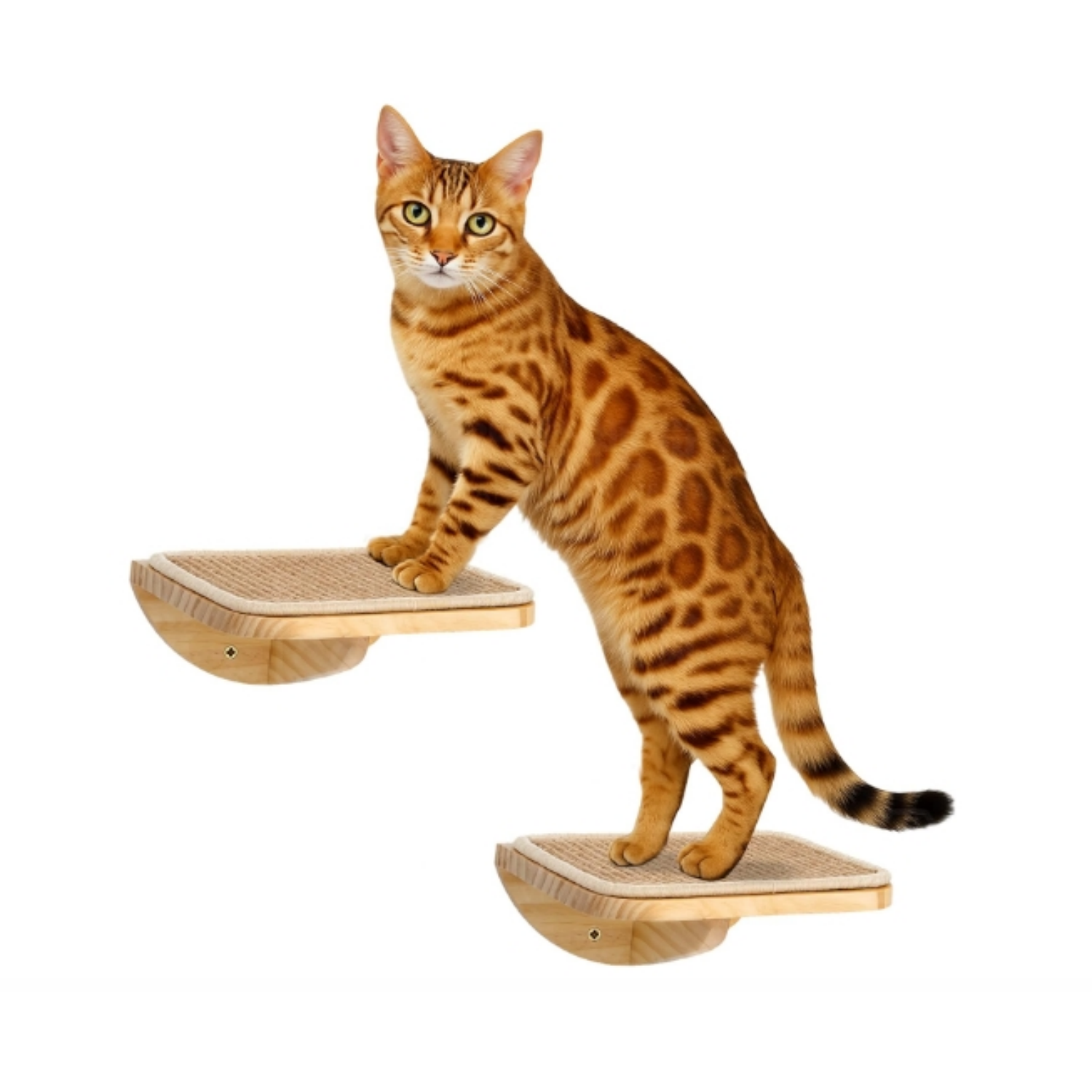 Wood Cat Wall Shelves with Sisal Mat – Cats Wall Furniture Steps for Large Cats